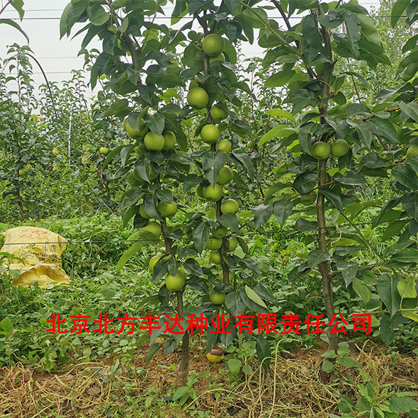 �������������ҵ���޹�˾